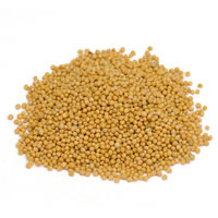 Mustard Seed (Yellow) 1 Oz. Package